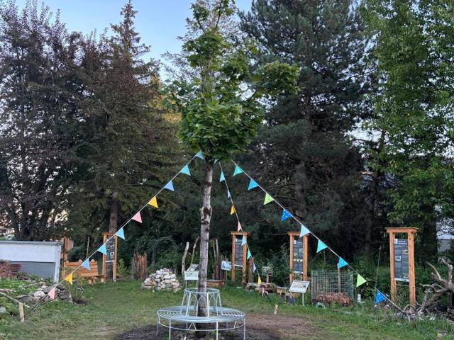 Der neu eingepflanzte Baum mit Baumbank und Wimpelkette im Igelpark